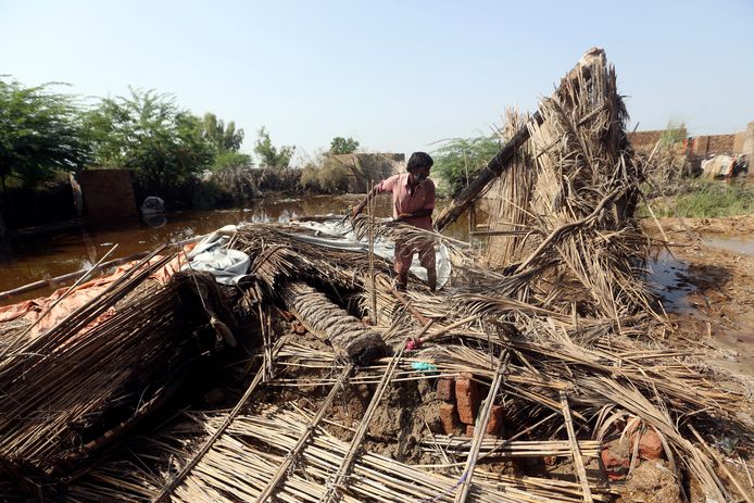 A man salvages the remains of his flood-damaged house after heavy rains in Shikarpur district of Sindh province, Pakistan.