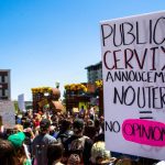Idaho Supreme Court allows passage of anti-abortion law |  NOW