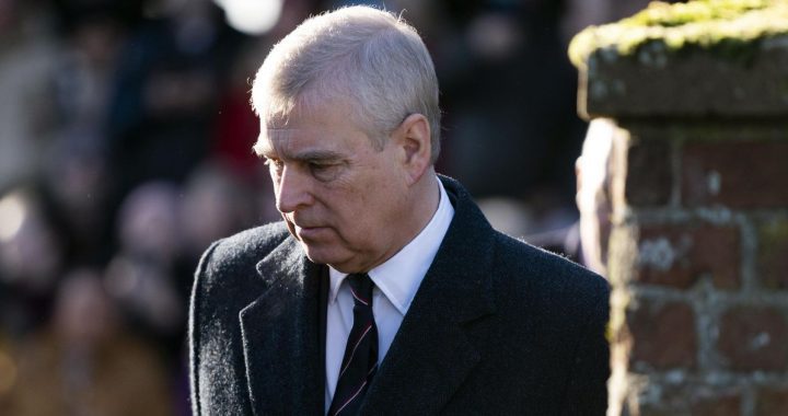 Prince Andrew continues to enjoy state-paid protection |  Royals