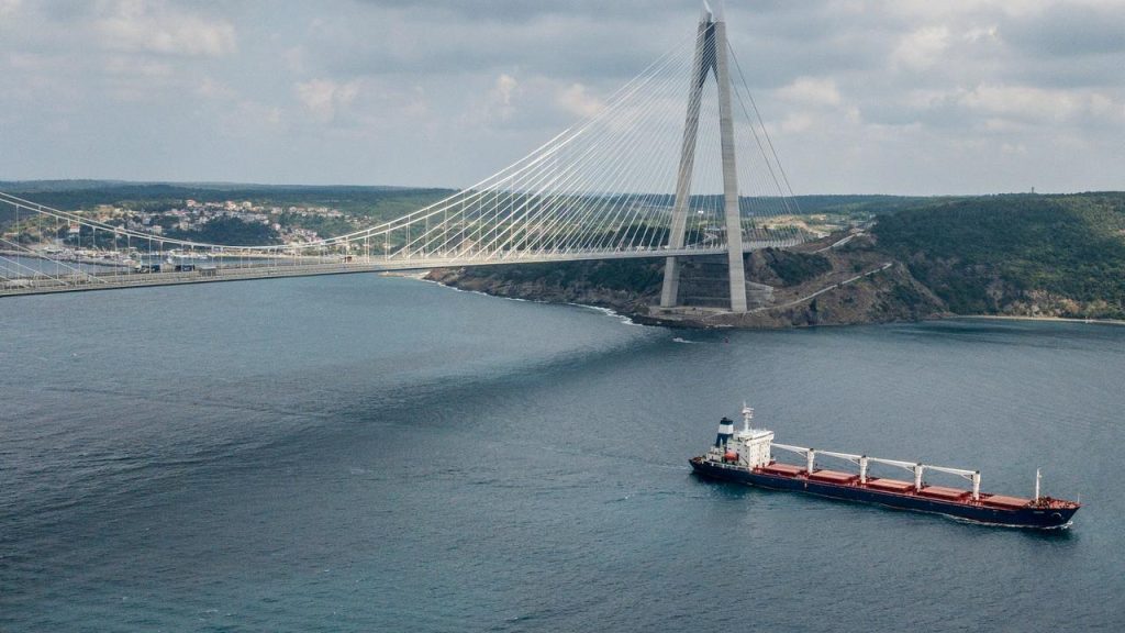 The first grain ship allowed to leave Ukraine docks again in Turkey |  NOW