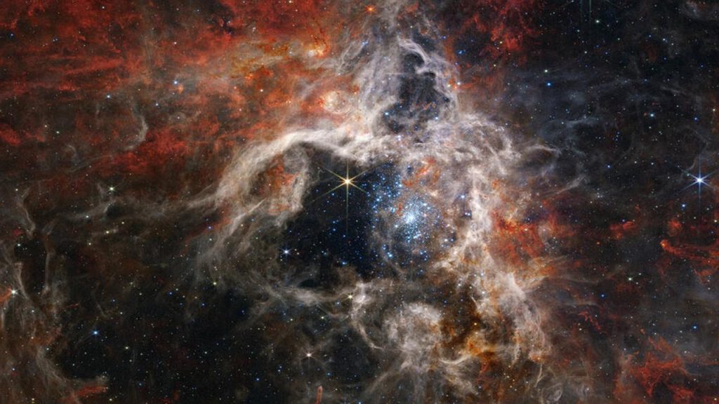 James Webb Telescope discovers thousands of new stars in the Tarantula Nebula |  Science