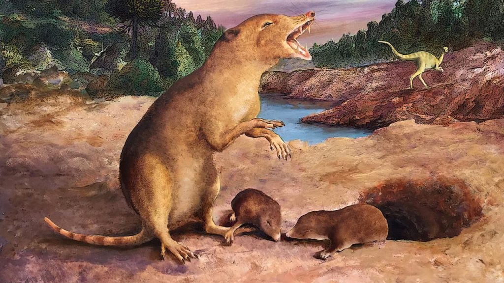 Researchers identify 225-million-year-old animal as oldest mammal |  Science
