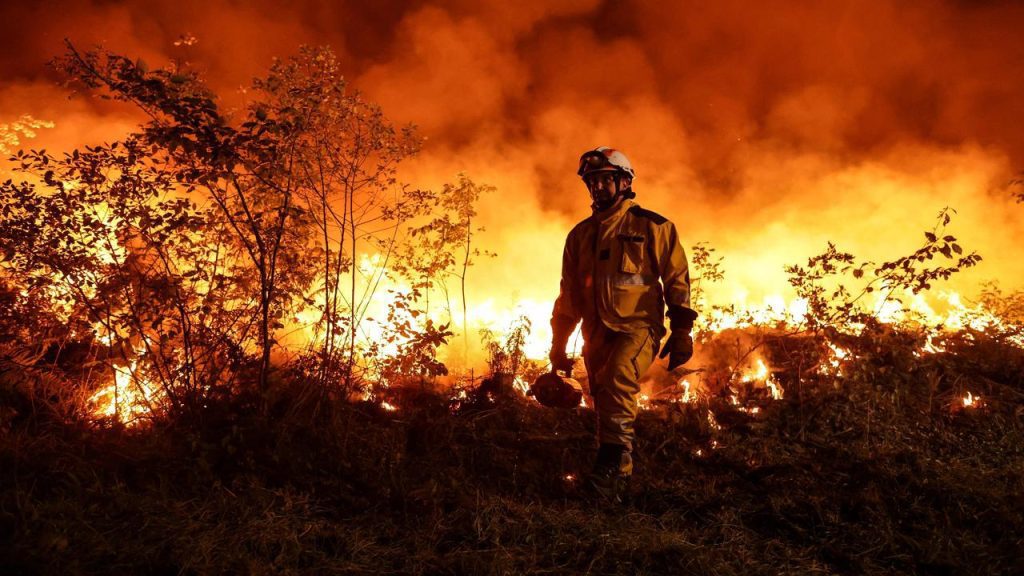 Forest fires in Europe cause highest emissions in 15 years |  NOW
