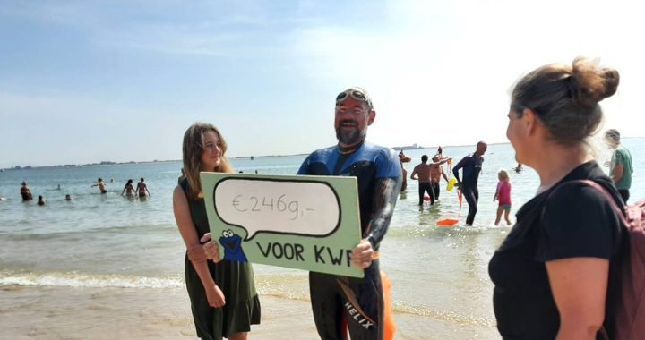Middelburg sea swimmer Gertjan Nieuwenkamp euphoric after monster trip |  Sports in Zeeland
