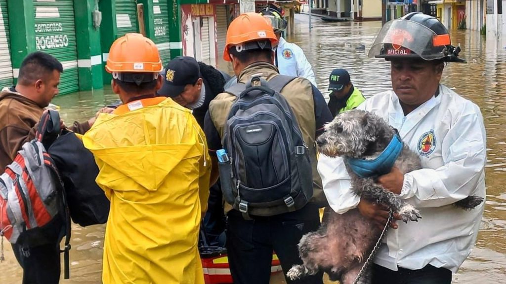 At least 25 dead in Central America by Tropical Storm Julia |  NOW