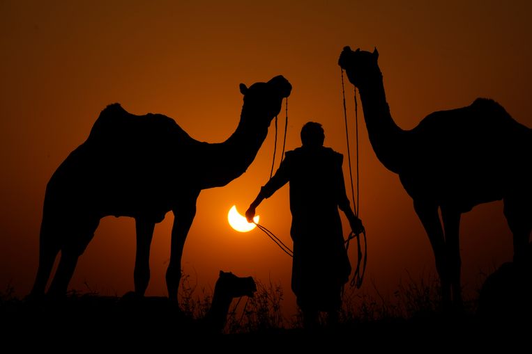 The eclipse in India, under the watchful eye of a camel herder.  Image access point