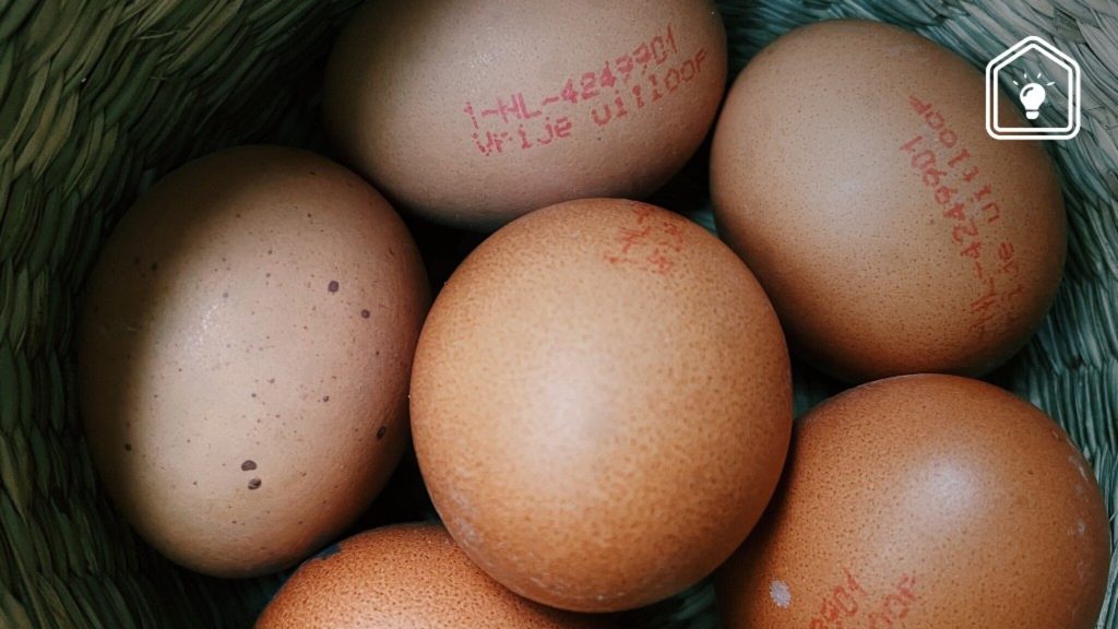 This is the meaning of the numbering on an egg