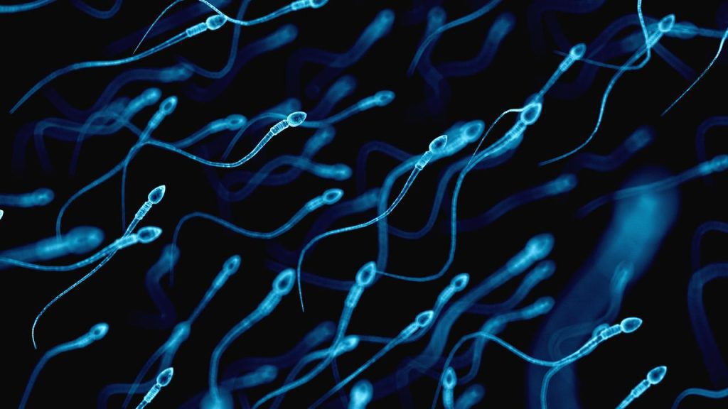 Global Sperm Production Is Decreasing Even Faster Than Thought |  Science