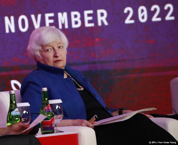 Yellen found no basis for research into Musk's acquisition of Twitter