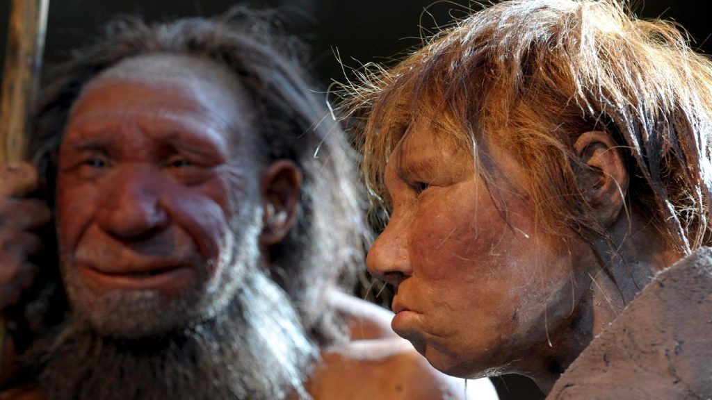 Food remains in Iraqi caves show Neanderthals were foodies |  Science
