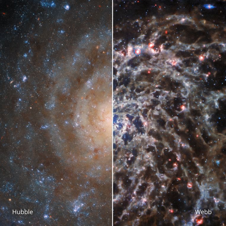 Comparison of the galaxy IC 5332 captured by the Hubble Telescope (left) and the Webb Telescope.  Image ESA/Webb/Nasa