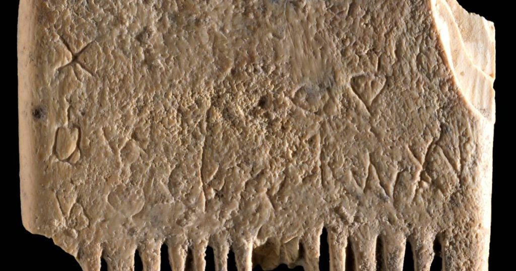 Oldest Written Phrase Found on 3,700-Year-Old Lice Comb |  Science