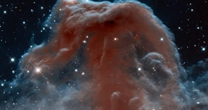perhaps the most popular dark nebula in the night sky