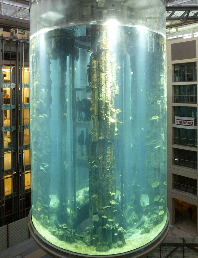 Berlin Hotel Aquarium with 1 million liters of water and 1500 exploded fish