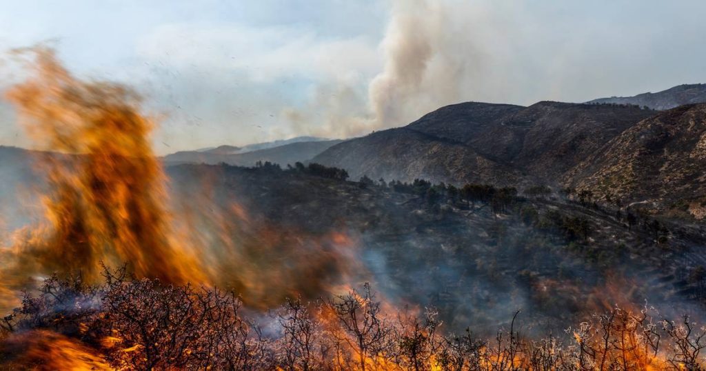 Extreme wildfires in Europe, South America and North America in 2022 |  Science & Planet