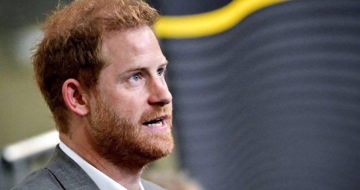 Prince Harry and publisher want to settle libel case - Wel.nl