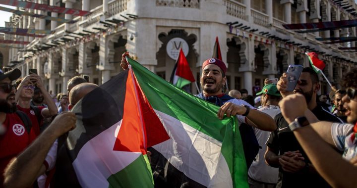 Pro-Palestine protests allowed in Qatar: 'Many citizens angry with Israel'